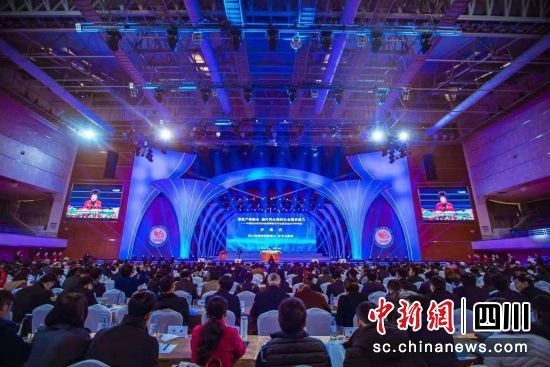会议现场。(主办方供图) 会议现场。(主办方供图)